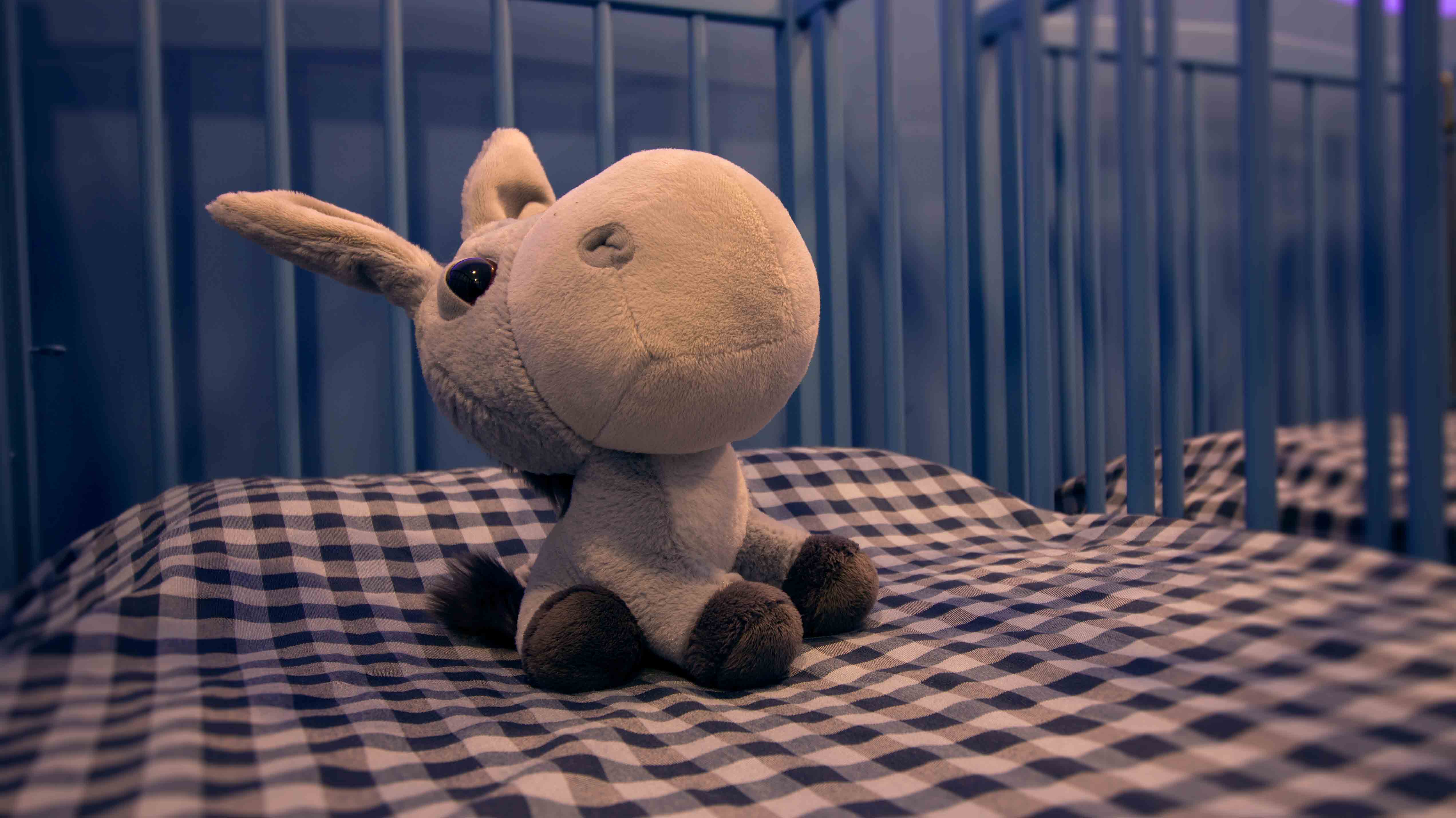 Peluche del baby parking